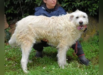 Gatsby - Der große Gatsby sucht seine Daisy