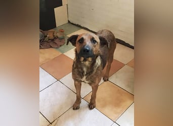 Gabi: Hat ihren Lebensmut wiedergefunden