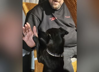 Kono - es ist nicht zu fassen