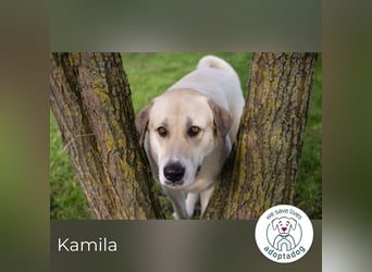 Kamila: Ruhige, liebe Seele