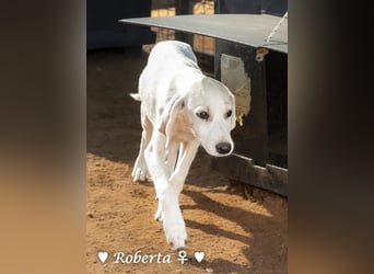 Roberta und Robbie, f.,  suchen eine Familie