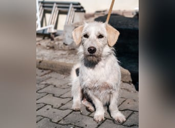Amani sucht ihre aktive Familie