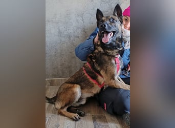 Lio - Best Buddy gesucht!