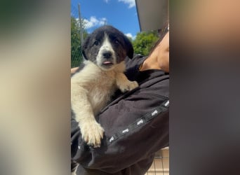 Mirta sucht ihre Familie
