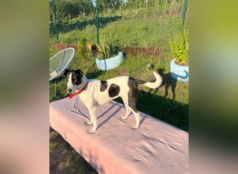 Hübsche Iris sucht liebe Familie