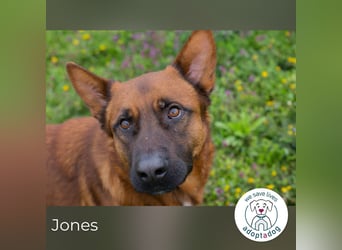 Jones: Starke Seele, sanftes Herz