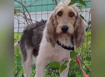 Elly - HAT  INTERESSENTEN- vorsictige Prinzessin sucht ihre erfahrenen Menschen mit Geduld und Liebe