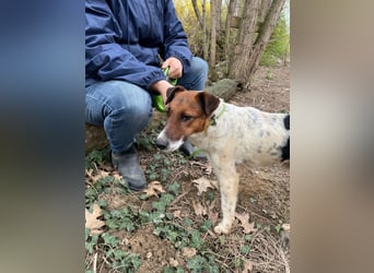 Mimi und Matyi suchen gemeinsam ein neues Zuhause