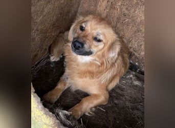 LOTTI 2 wartet auf Rettung