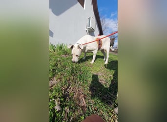 Hera-DG, Omi sucht Seniorenresidenz!