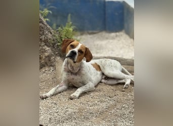 Cooper, hofft auf eine Chance