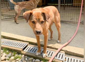 SVEN – ein Senior auf der Suche nach dem Glück