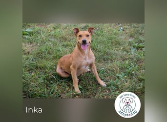 Inka – Ihre Augen leuchten wie ihr Name