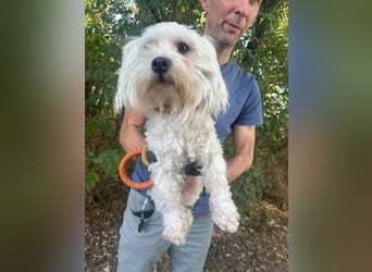 Casper, geboren 06.12.2023, 24cm sucht seine Menschen