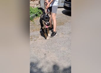 ENDER-IM DORF ALLEIN UNTERWEGS