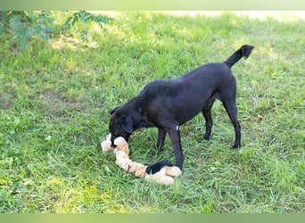 Gonza – Bewegungs-Fan sucht Nähe