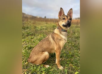 Luci - aus schlechter Haltung
