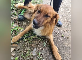 Yiwu ein liebesbedürftiger Bub