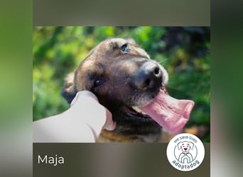 Maja: genießt ihre neue Freiheit