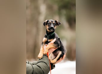 Afina , zuckersüße maus wartet ...