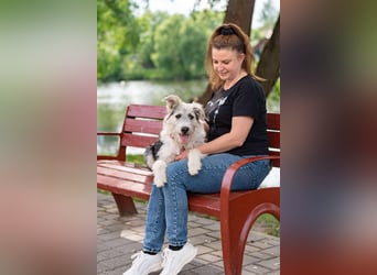 Verschmuste Lichi sucht ihre Menschen