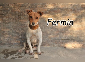 Haben Sie mit Fermin großes vor?