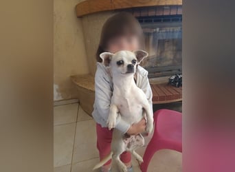 ❤️Bart + Mara...dürfen sie zusammen bleiben?