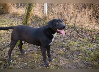 Piper: verdient eine zweite Chance