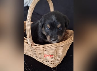Sie sind endlich da 4 Mädels und 5 Jungs