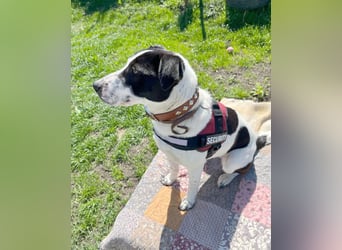 Hübsche Iris sucht liebe Familie