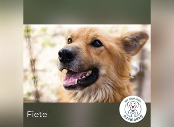 Fiete: Verwandlung durch Verständnis