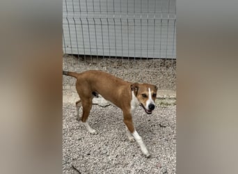Marley, freundlich und sozial