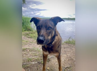 Tucker braucht ein neues Zuhause