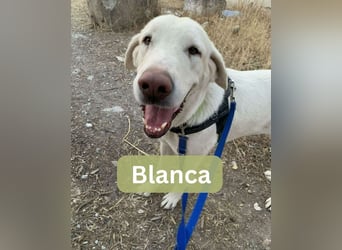 BLANCA