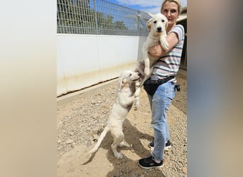 Glamour: 7 auf einen Streich
