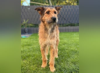 Peaches ❤️ wartet in 51143 Köln