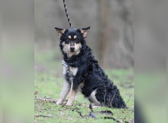 Arthur, geb. 10.03.2024, 48 cm, sucht nach seinen Menschen