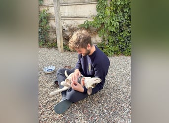 Süßer Leo sucht sein Zuhause