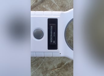 Harrison PP – Junghund mit großem Potenzial sucht liebevolles Zuhause