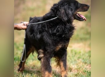 Zeyko