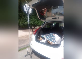 Emy: „Jetzt muß es um mich gehen!“