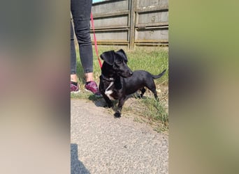 Die liebe Csipesz ist ab August auf einer Ps in 44532 Lünen !