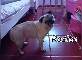 Zeigen Sie Rosita noch ein paar altersgerechte Abenteuer?