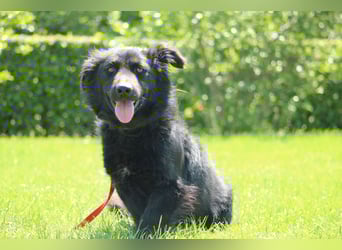 Ella unser kleiner Sonnenschein....