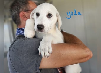 Anouk-Yara: sucht Liebe und Geborgenheit