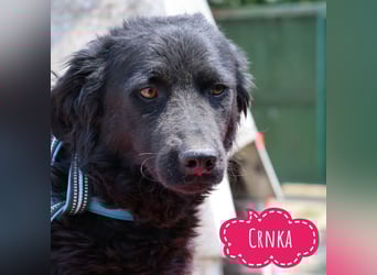 Crnka - eine tolle