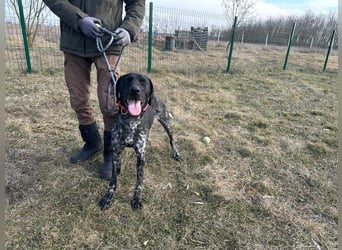 Teofil, geboren 01.01.2023, 63cm sucht DICH
