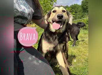 Brava die Bravste