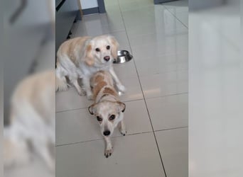 Tami möchte nur geliebt werden