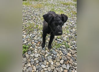 Eléa – Kleine Entdeckerin mit großem Herz sucht Zuhause